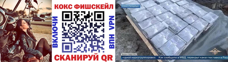 COCAIN Fish Scale  MEGA зеркало  Олонец 
