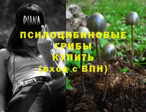 не бодяженный Армянск