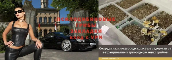 не бодяженный Армянск