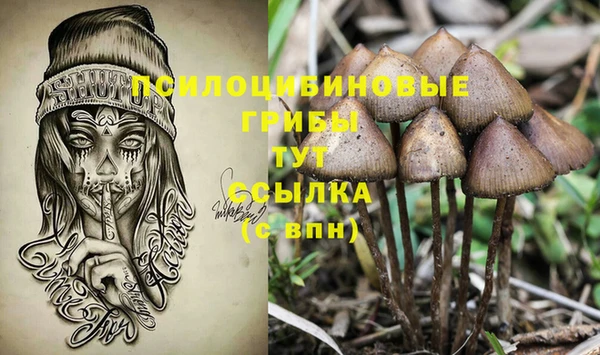 не бодяженный Армянск