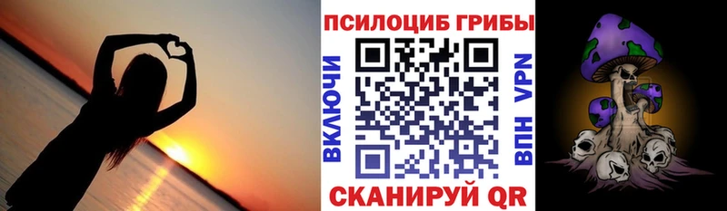 Галлюциногенные грибы MAGIC MUSHROOMS  дарнет шоп  Олонец 